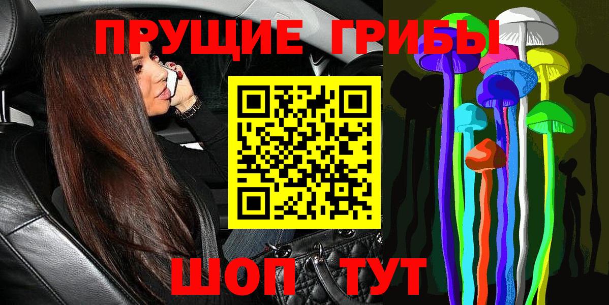 Псилоцибиновые грибы прущие грибы Бузулук