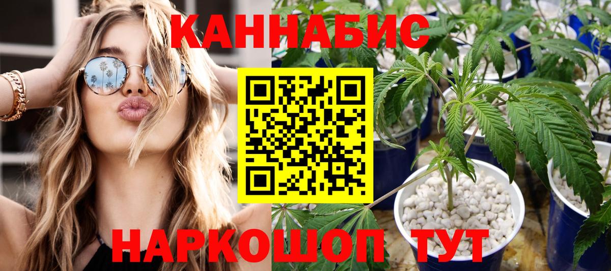 Бошки марихуана план Бузулук